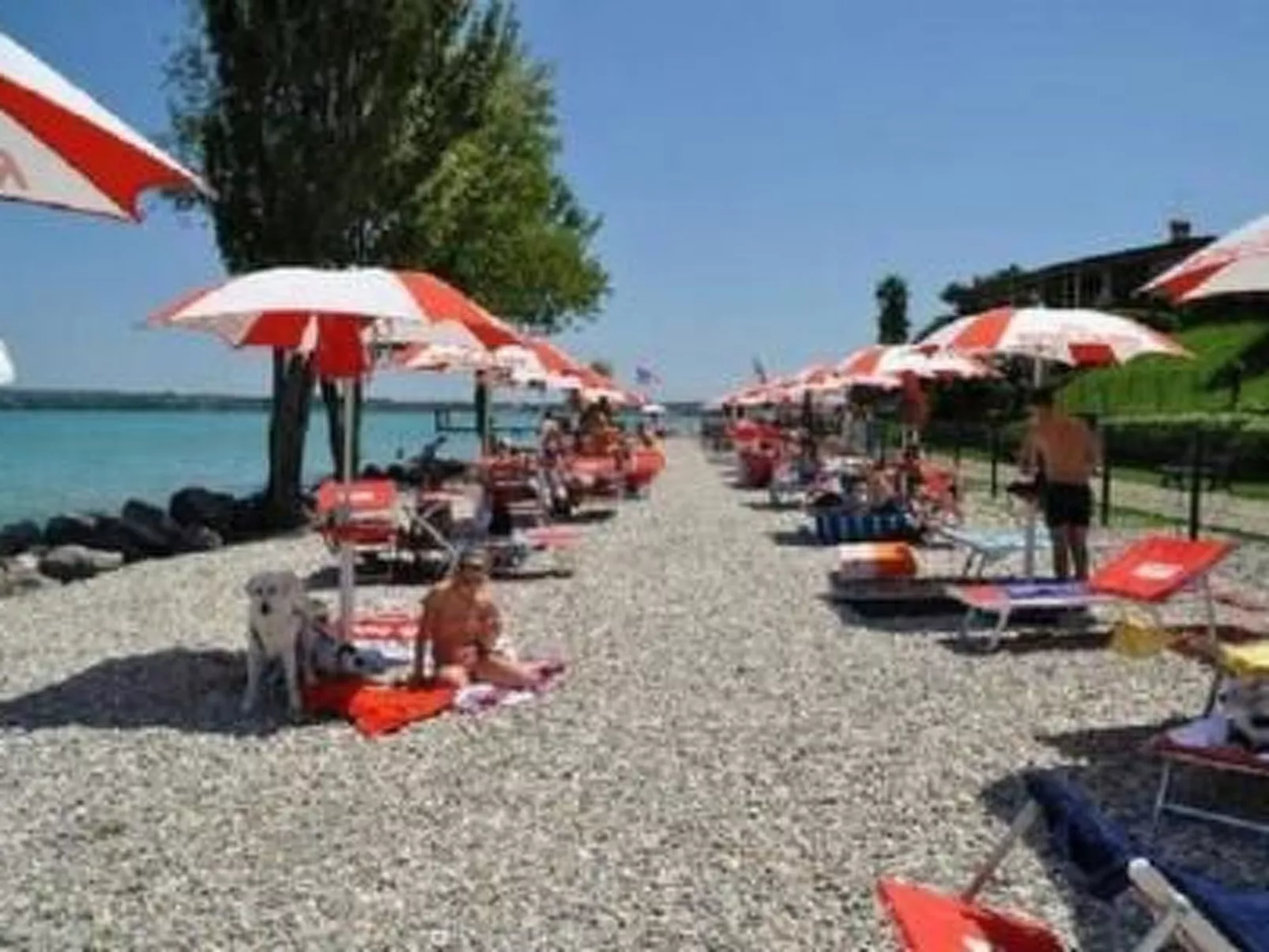 FeWo C-36-Image-tags.info