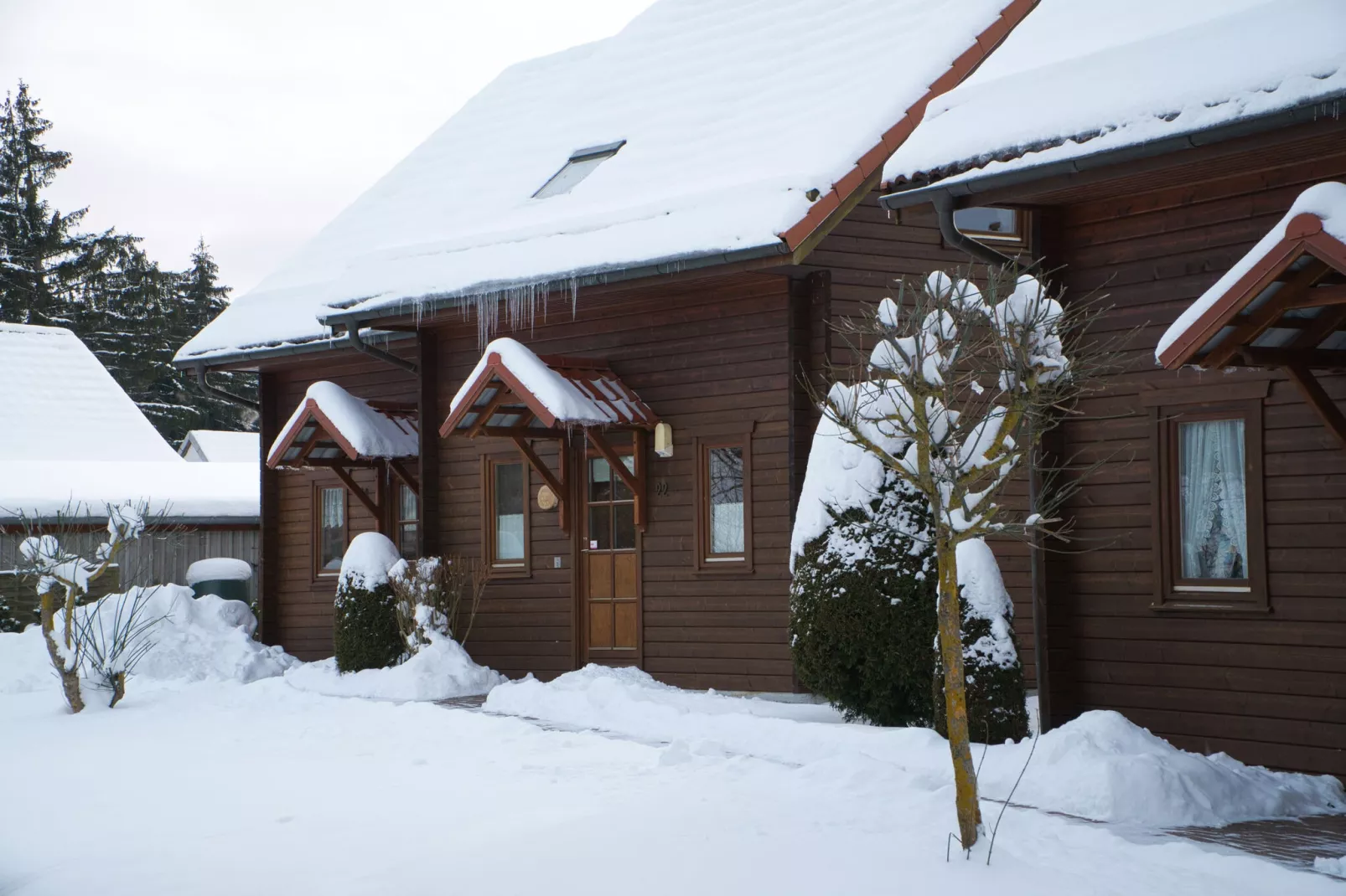 Ferienhaus in Hasselfelde - Haus 22 Blauvogel-Exterior winter