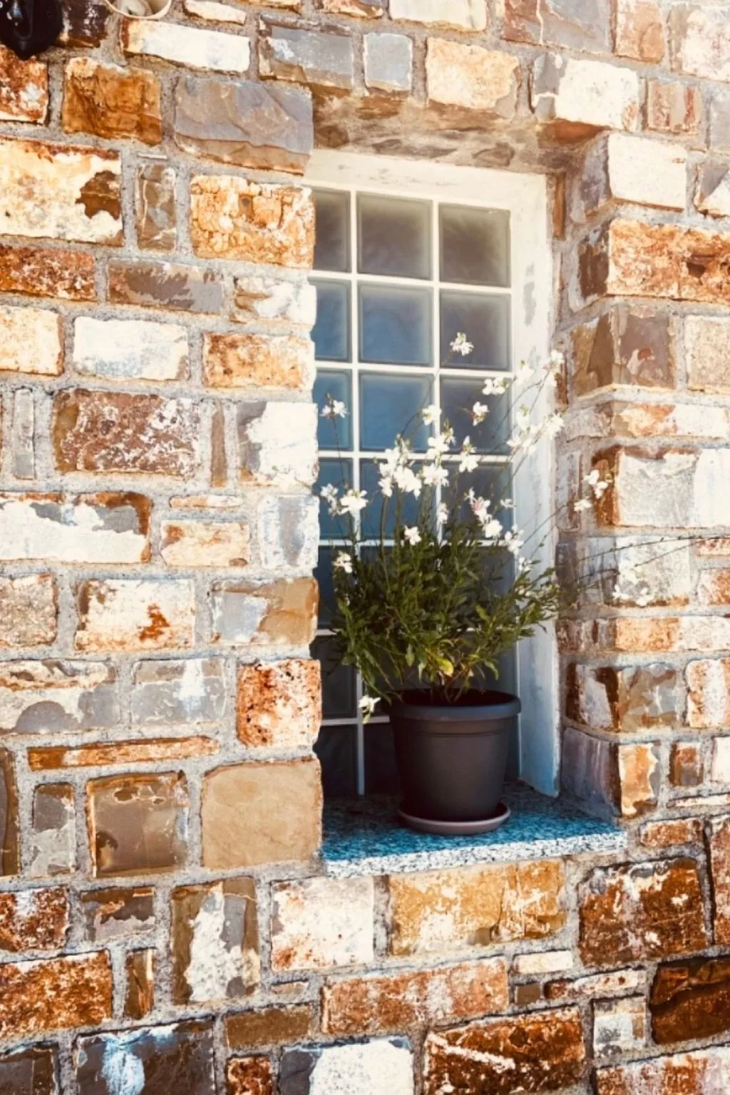 Bella Vista Poggi 180 Grad Fantastischer Meerblick-Draußen