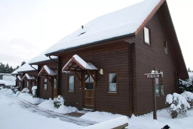 Ferienhaus in Hasselfelde - Haus 31 Blauvogel-Exterior winter