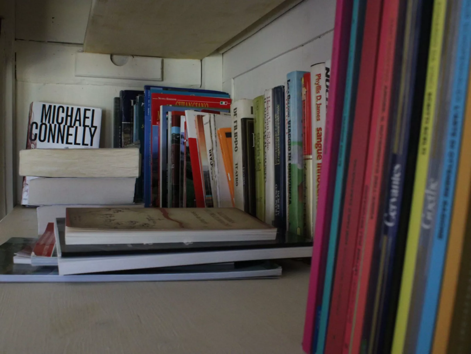 Flache Kornblume-Drinnen