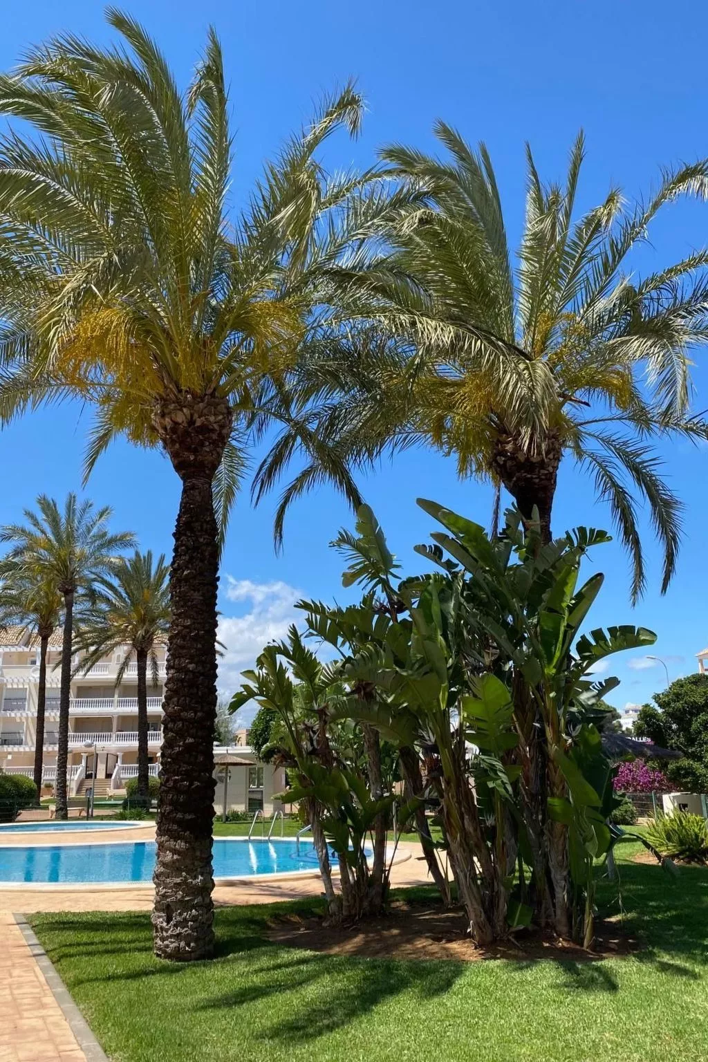 Entspannen in Aquamarinas-Dehors