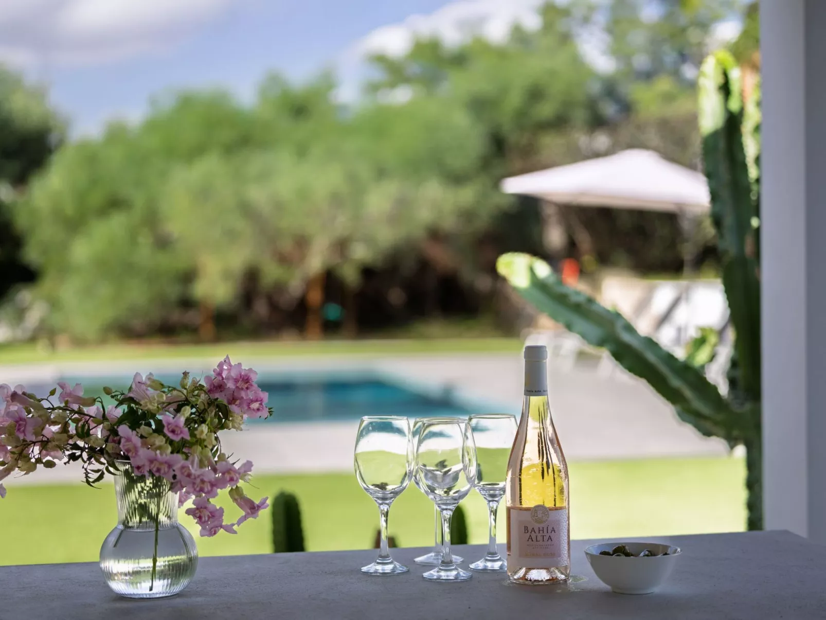 "Vista Molinos"-Image-tags.info