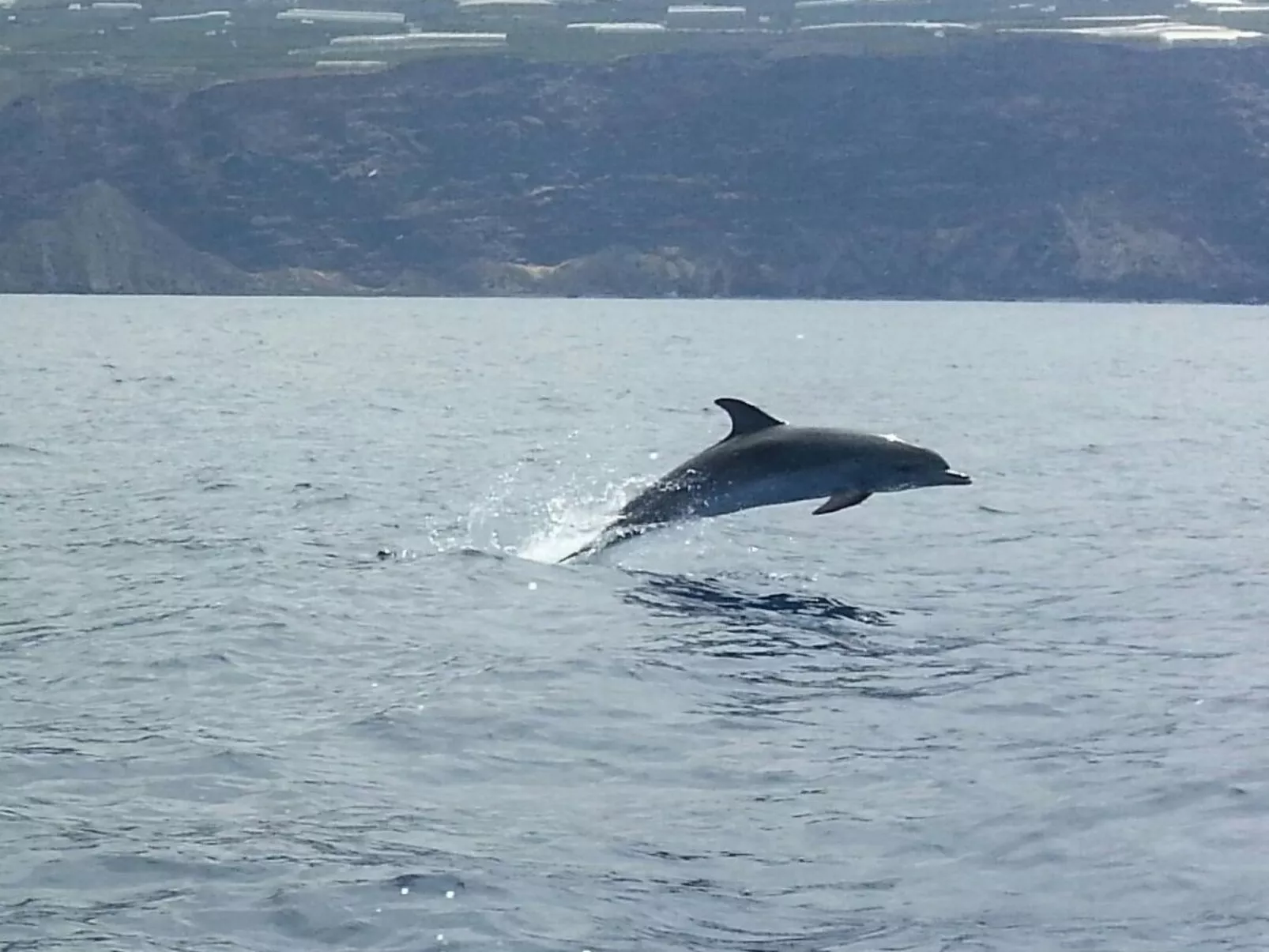 Ruhige Finca Topo del Drago mit Meerblick-Dehors