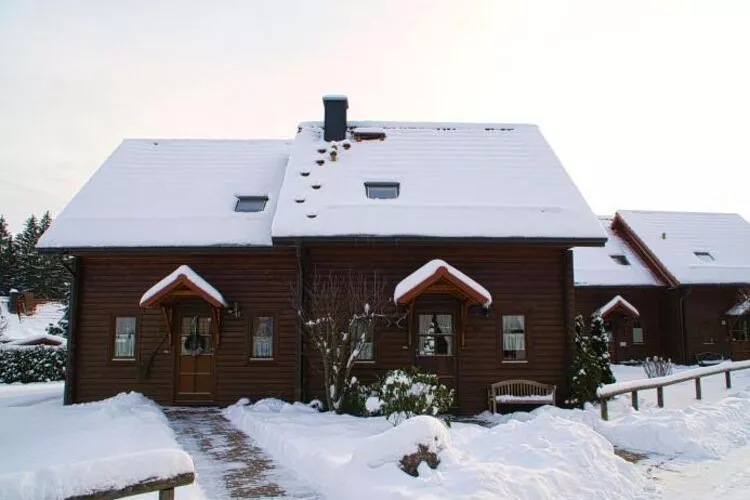 Ferienhaus in Hasselfelde - Haus 47 Blauvogel-Exterior winter