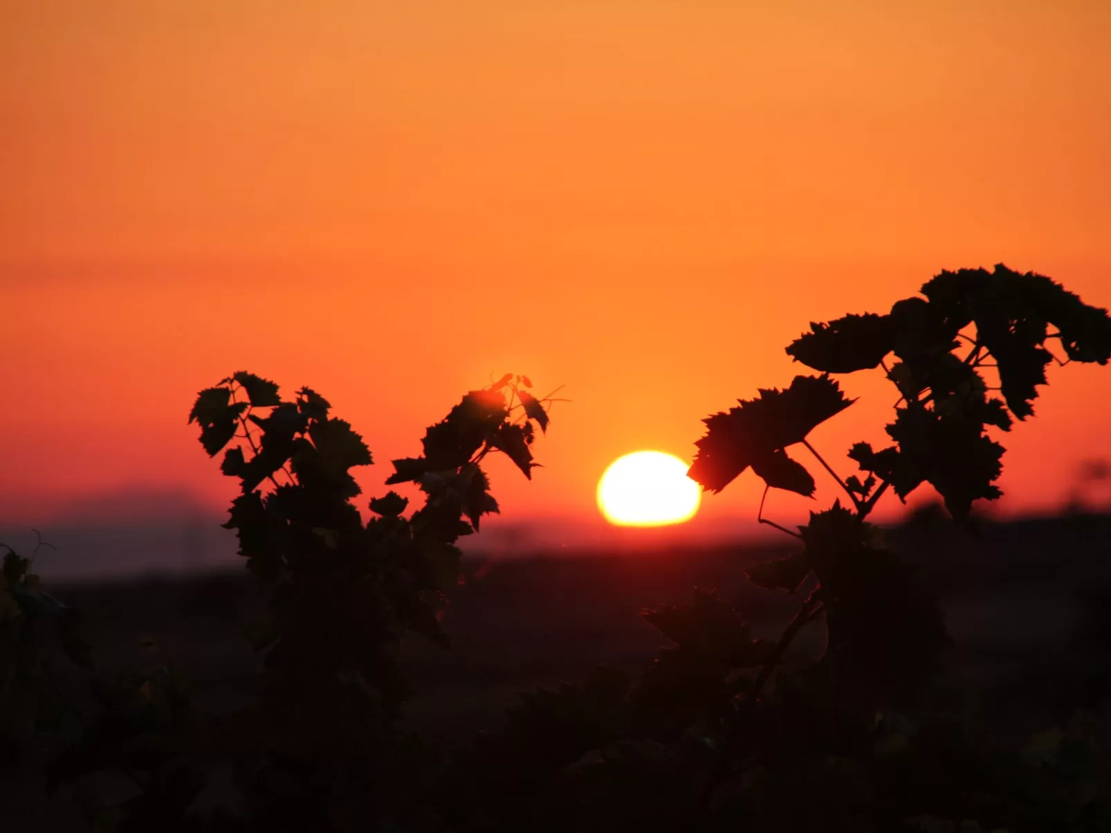 "Villa mit Pool-Image-tags.info