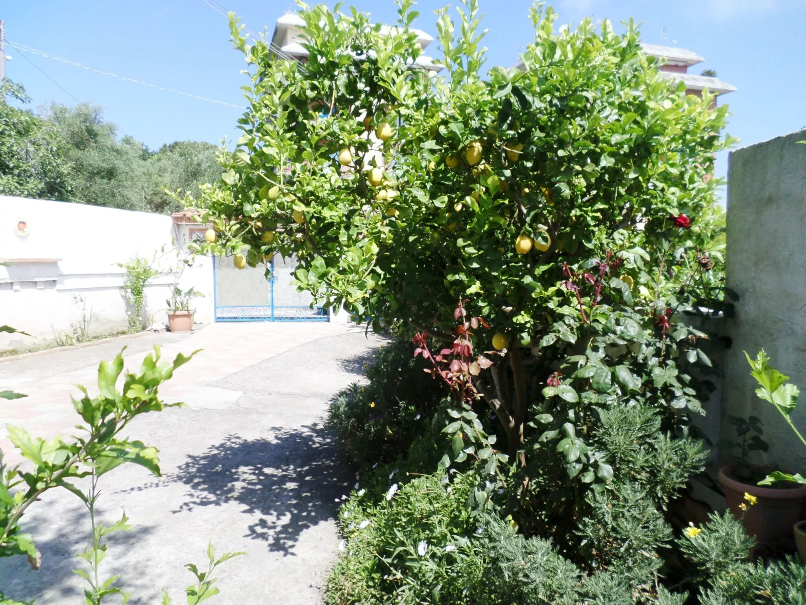 Das Landhaus von Kleopatra und Marcantonio-Outside