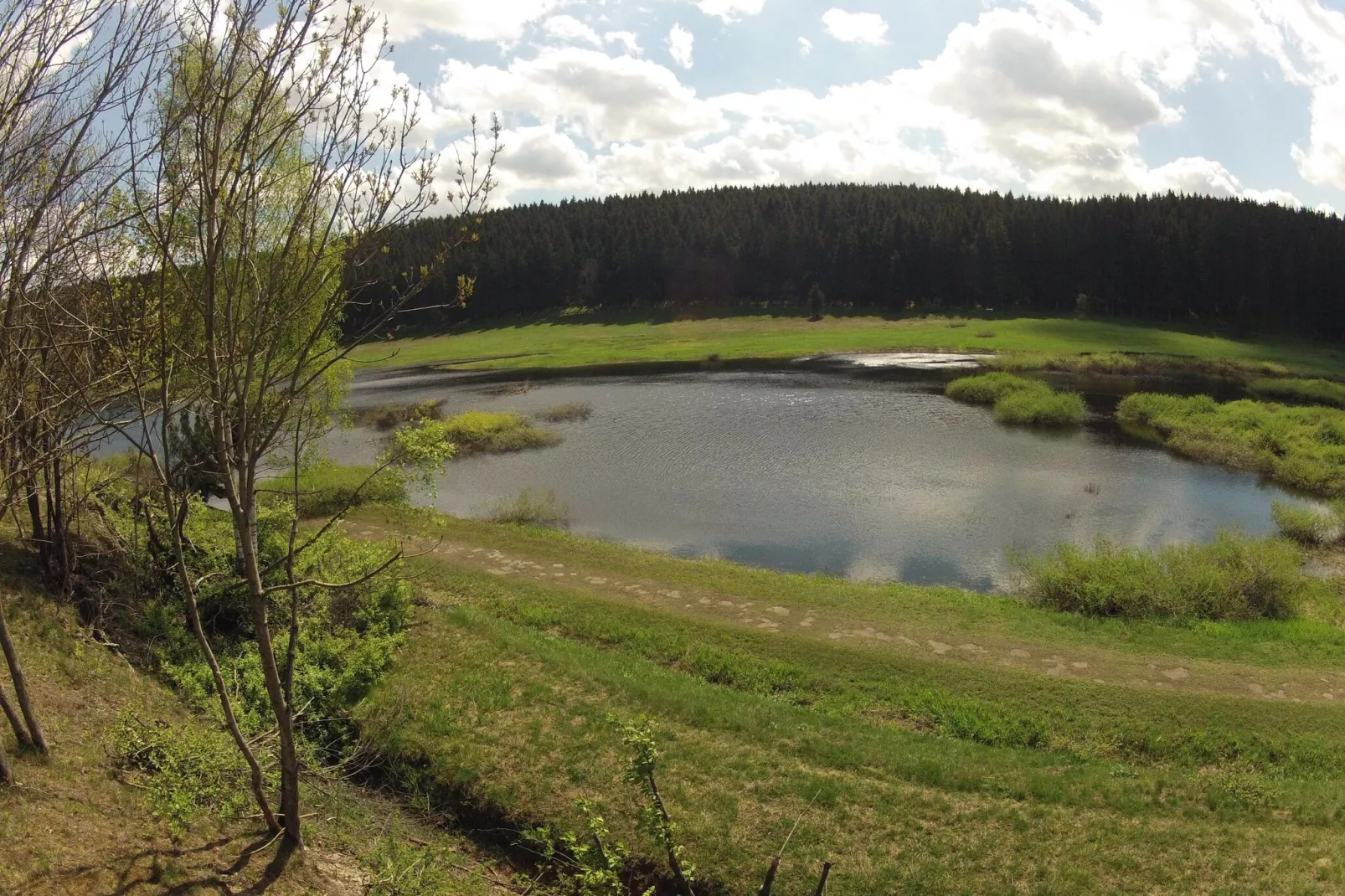Ferienhaus in Hasselfelde - Haus 47 Blauvogel-Areas summer 5km