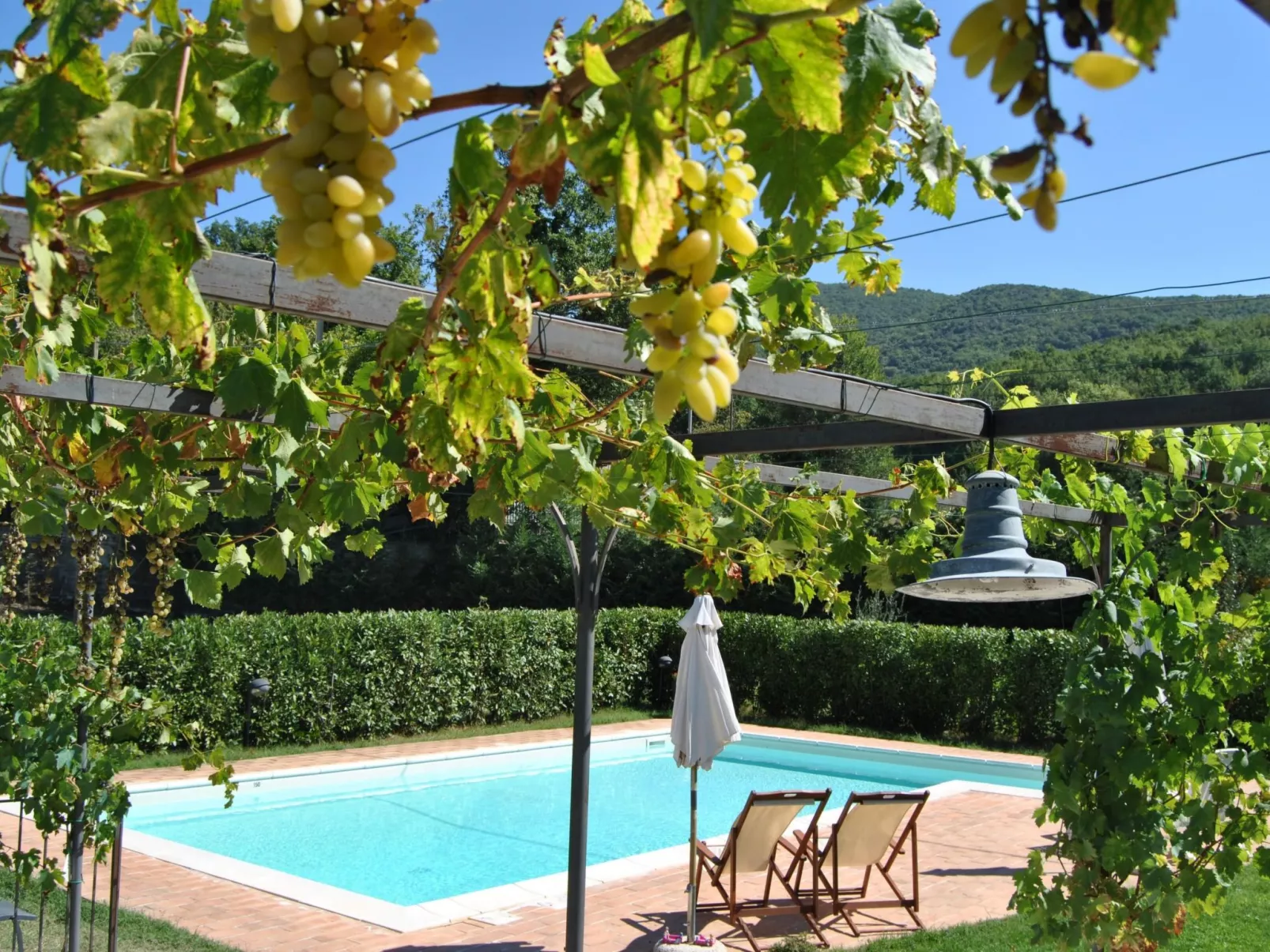 Altes Landhaus mit Schwimmbad und viel Grün-Draußen