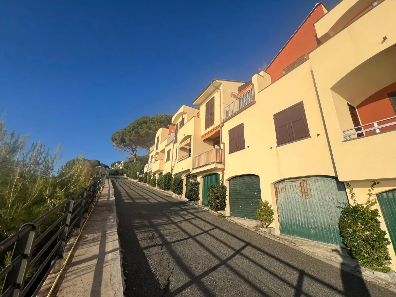 House Agave by Holiday World-Dehors