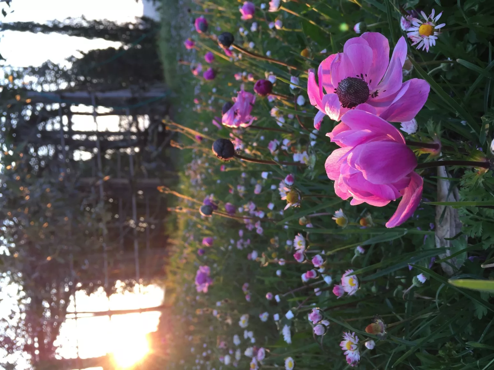 La Terrazza-Draußen