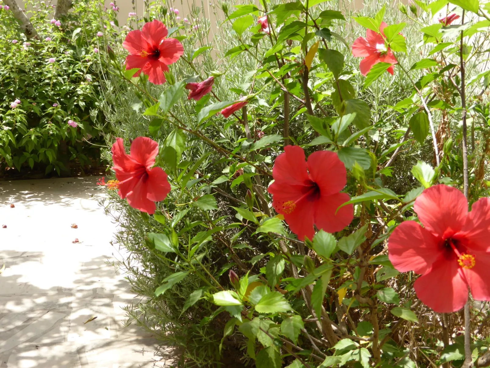 Schöner, neuer und zentraler Bungalow direkt am Sandstrand auf Sizilien-Outside
