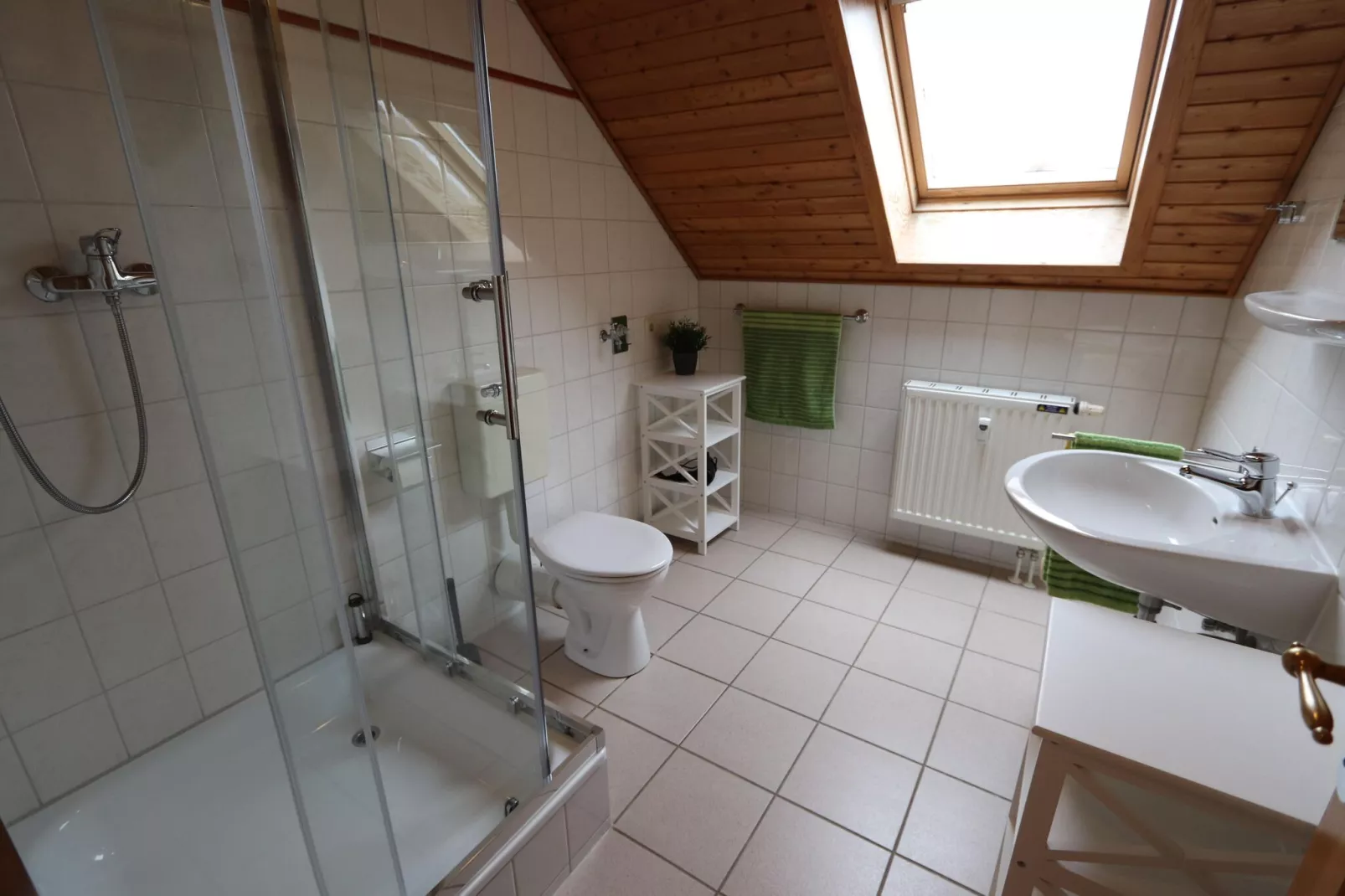 Ferienhaus in Hasselfelde - Haus 1 Blauvogel-Badezimmer