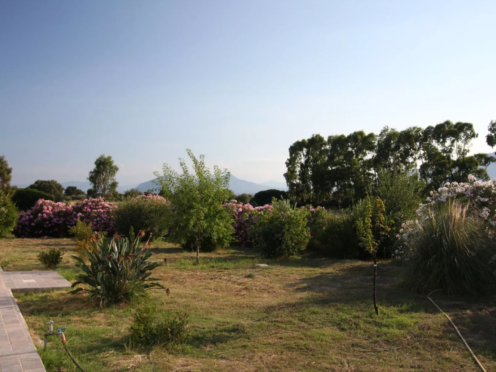 Landgut "Casa Gollei-Image-tags.info