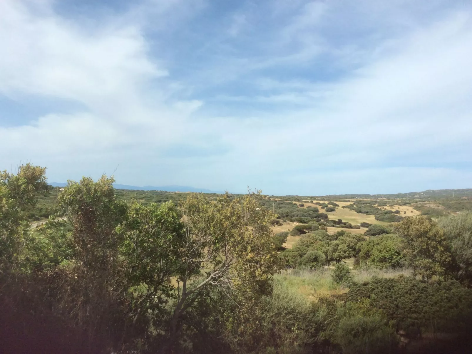 Stazzo Dell'Antica Trebbia in Gallura-Outside