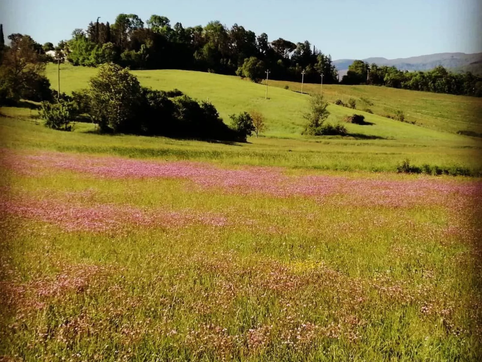 Landgut "Il Molino" mit Terrasse und Garten-Outside