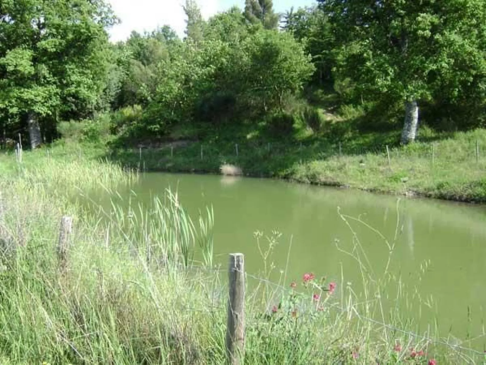 Casa Letizia mit toller Aussicht-Outside