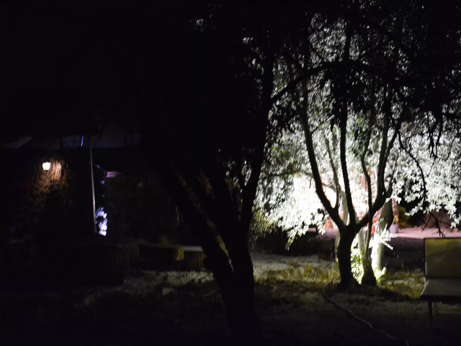 Mirriusa' Ferienhaus mit Jacuzzi-Outside