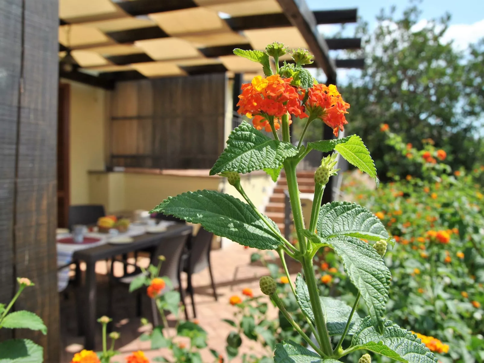 Doppelhaushälfte mit Gemeinschaftspool-Outside