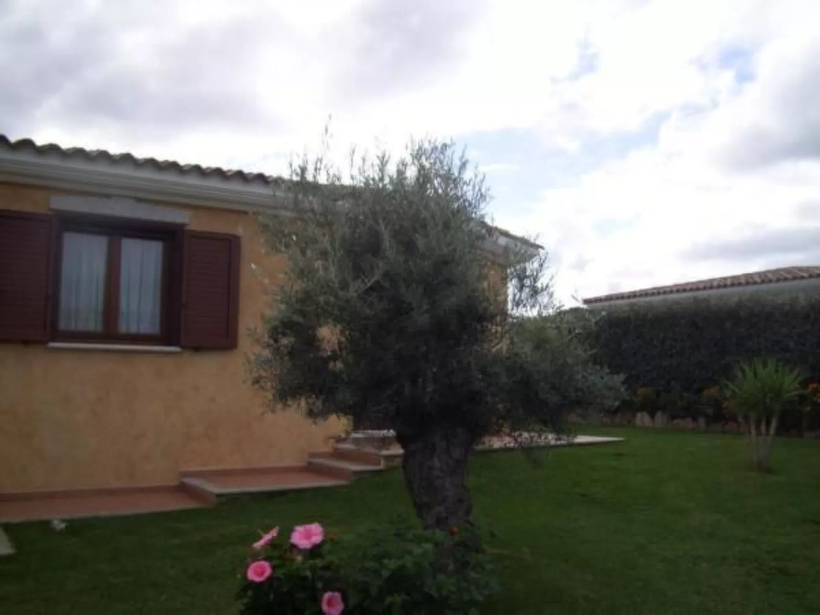 Mit Wasserblick-Image-tags.info