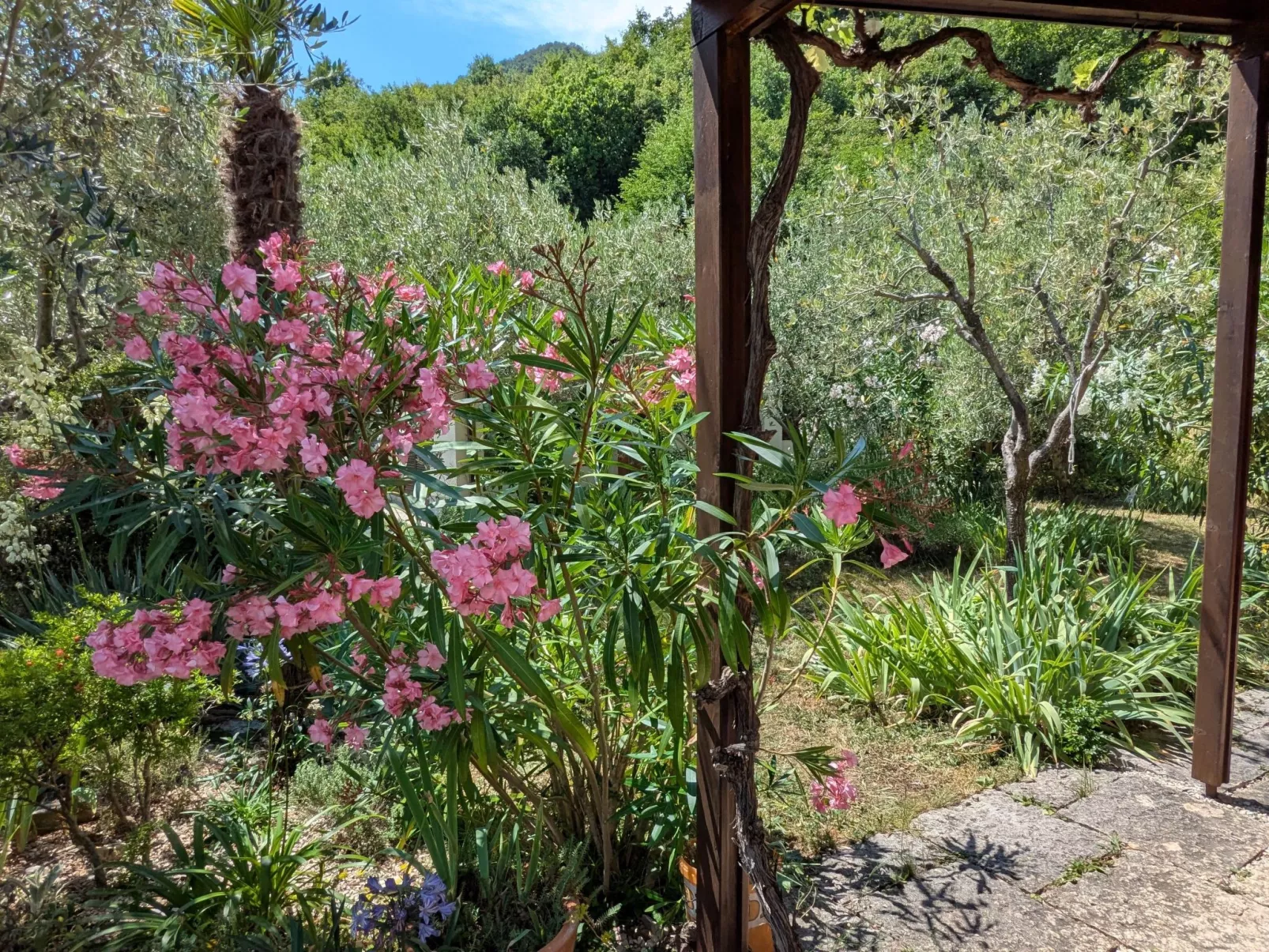 Oliveto Tignale-Outside