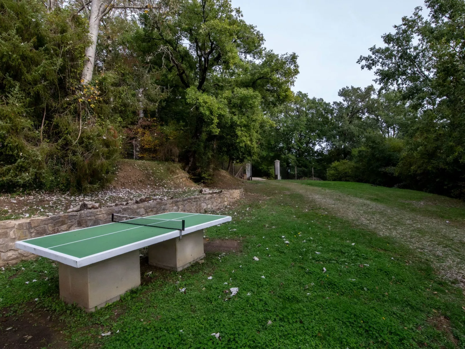 Villa Pruneto mit Pool in den Hügeln der Toskana-Outside