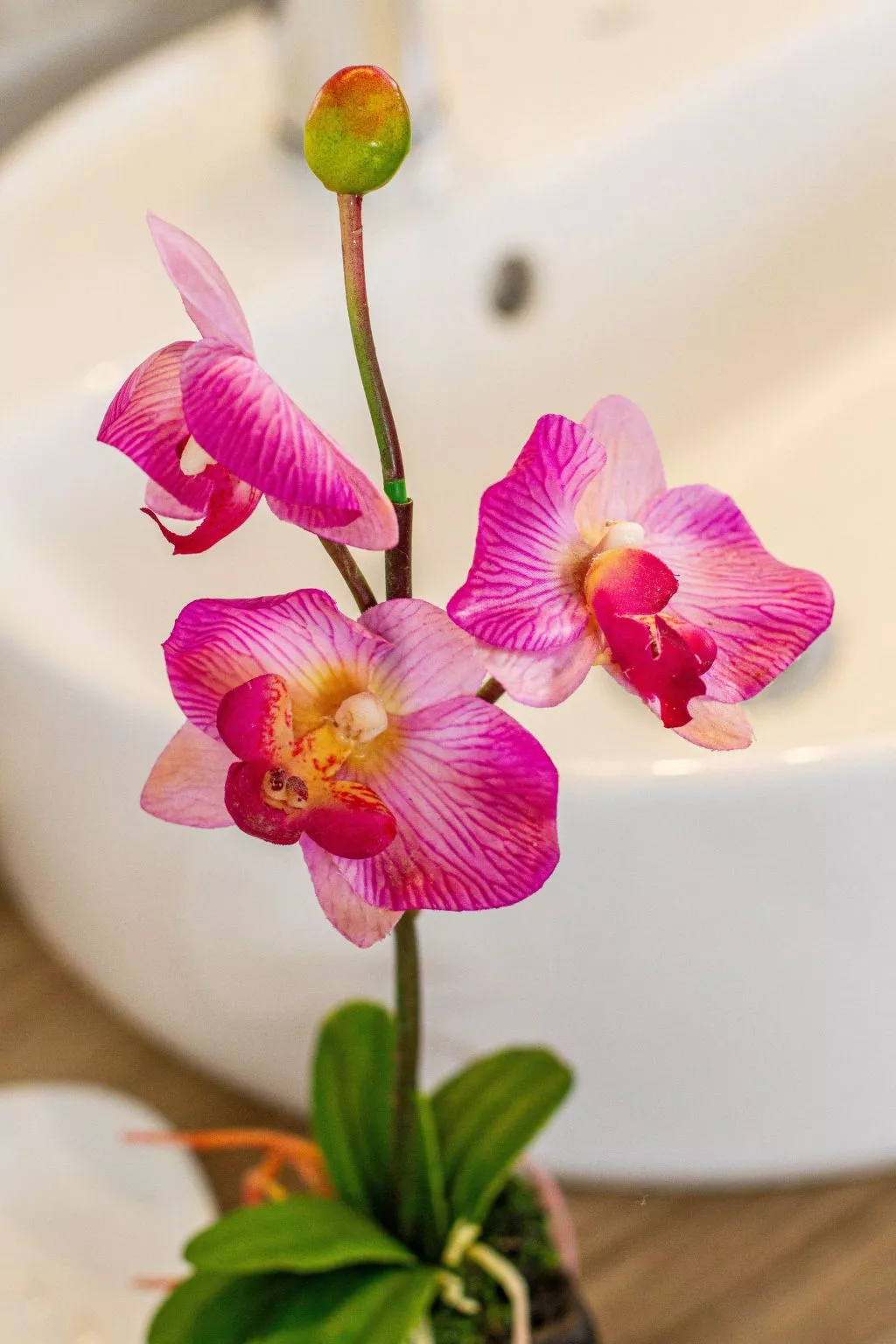 Villa Coco Bay - Playa Blanca, Yaiza, Lanzarote-Inside