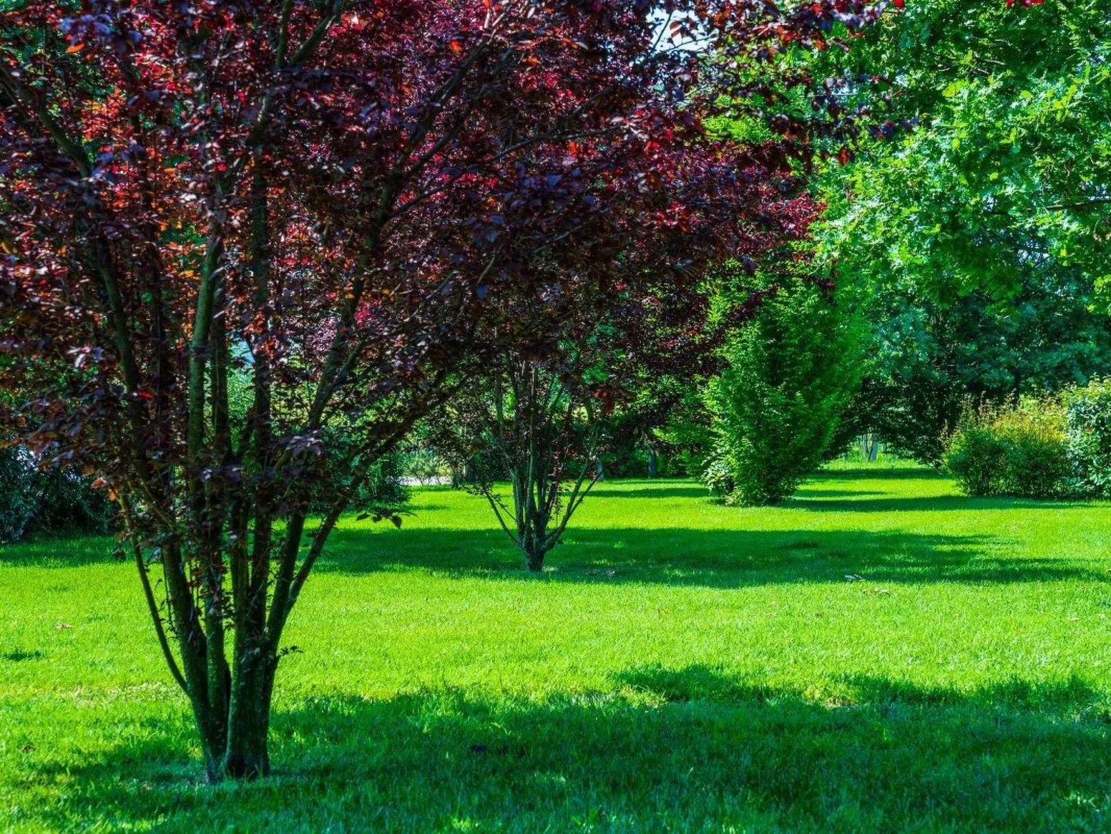 Wohnung "Erica" auf einem Bauernhof-Draußen
