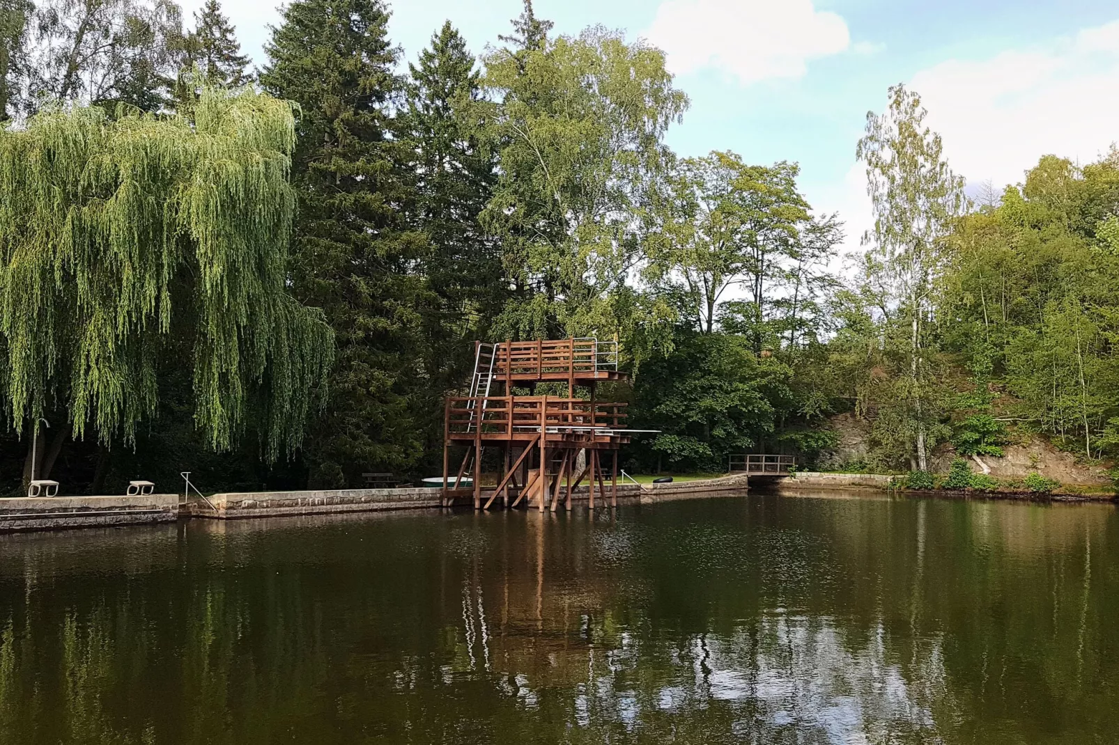 Ferienhaus in Hasselfelde - Haus 46 Blauvogel-Gebiete Sommer 5 km