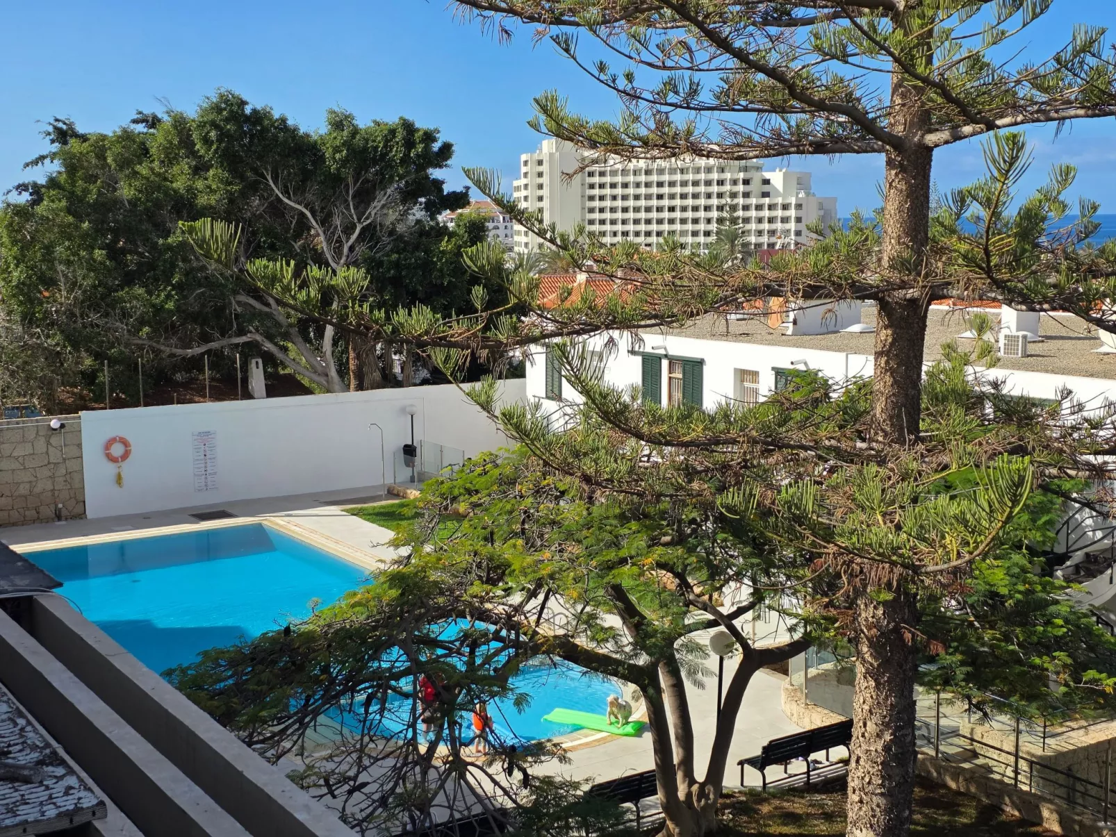 Jacaranda am Meer-Outside