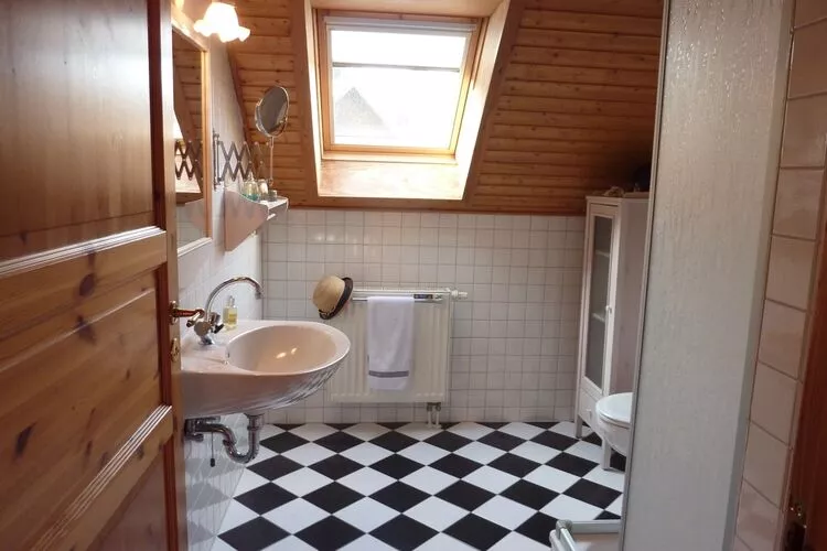 Ferienhaus in Hasselfelde - Haus 48 Blauvogel-Badezimmer