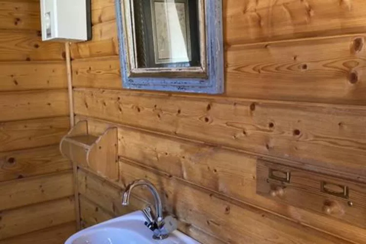 Ferienhaus in Hasselfelde - Haus 48 Blauvogel-Badezimmer