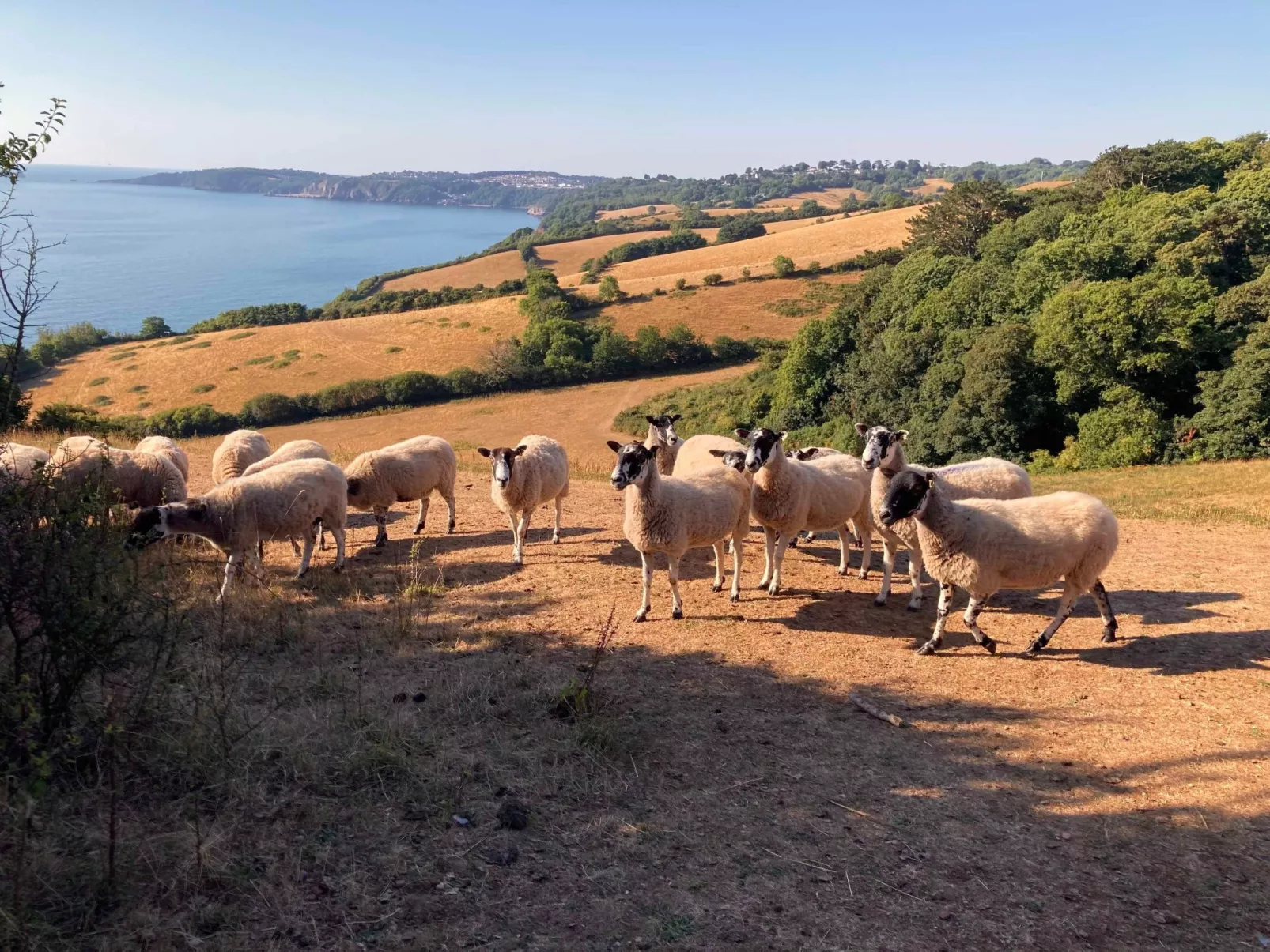 Captains Cabin-Outside