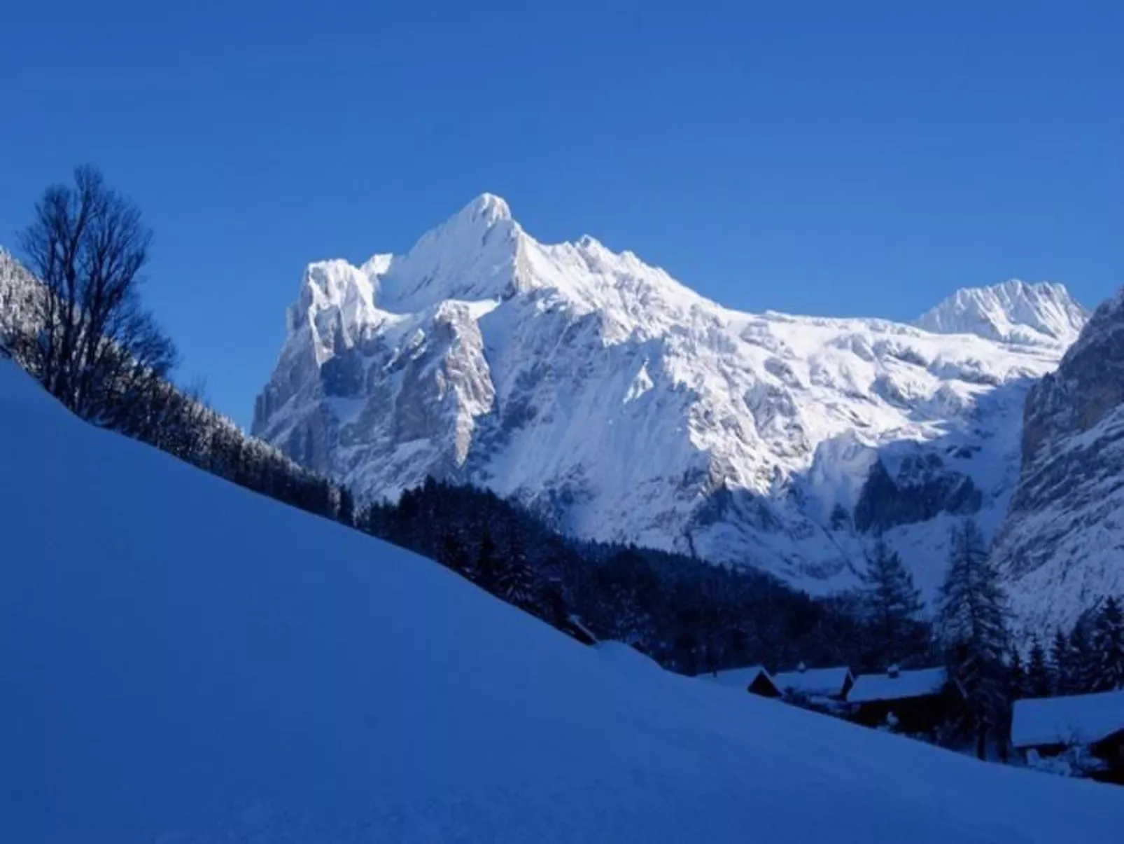 Am Eigen 2 Bett Wohnung-Draußen