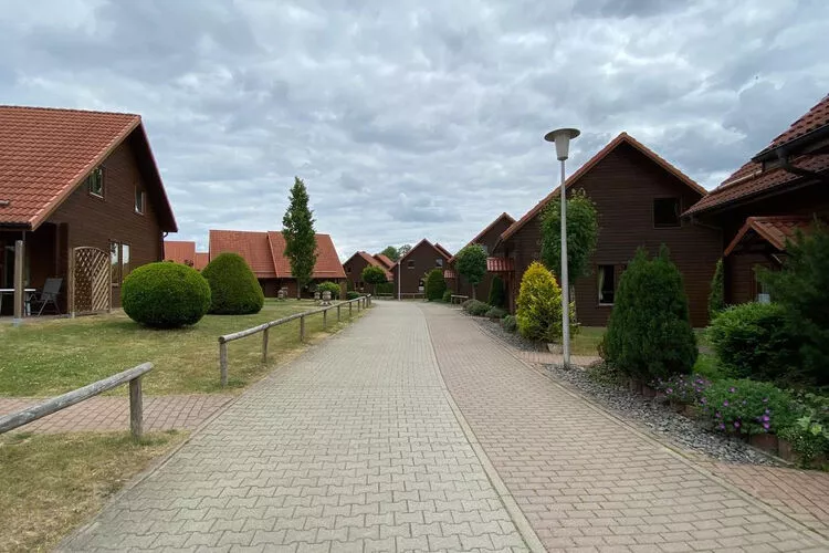 Ferienhaus in Hasselfelde - Haus 52 Blauvogel-Exterior summer