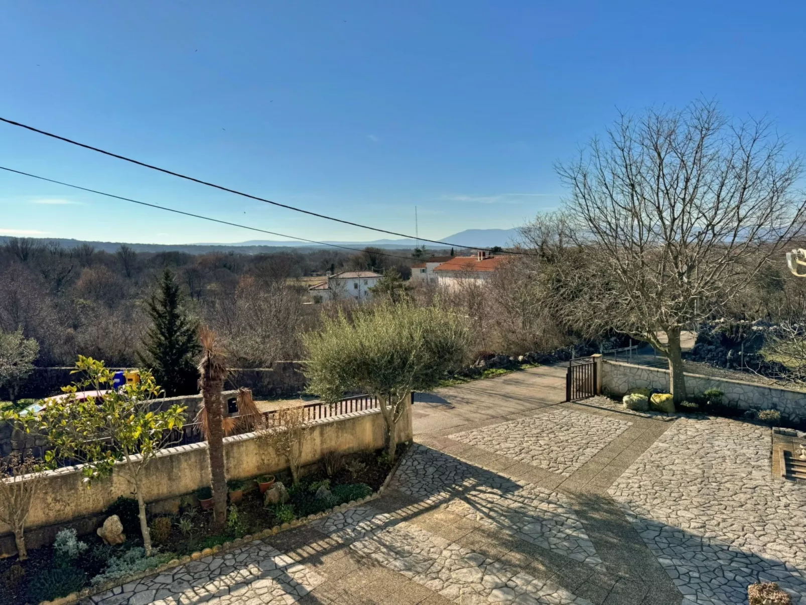 Apartment Pavle-Image-tags.info