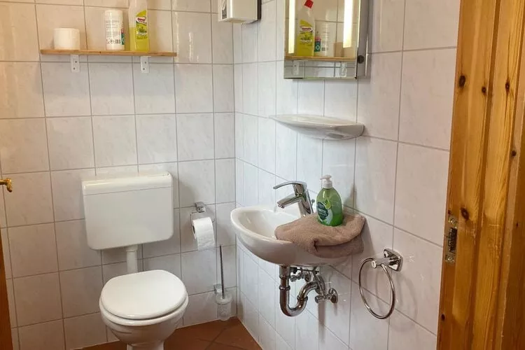 Ferienhaus in Hasselfelde - Haus 52 Blauvogel-Bathroom