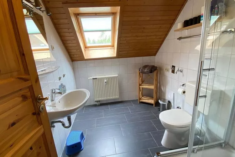 Ferienhaus in Hasselfelde - Haus 52 Blauvogel-Bathroom