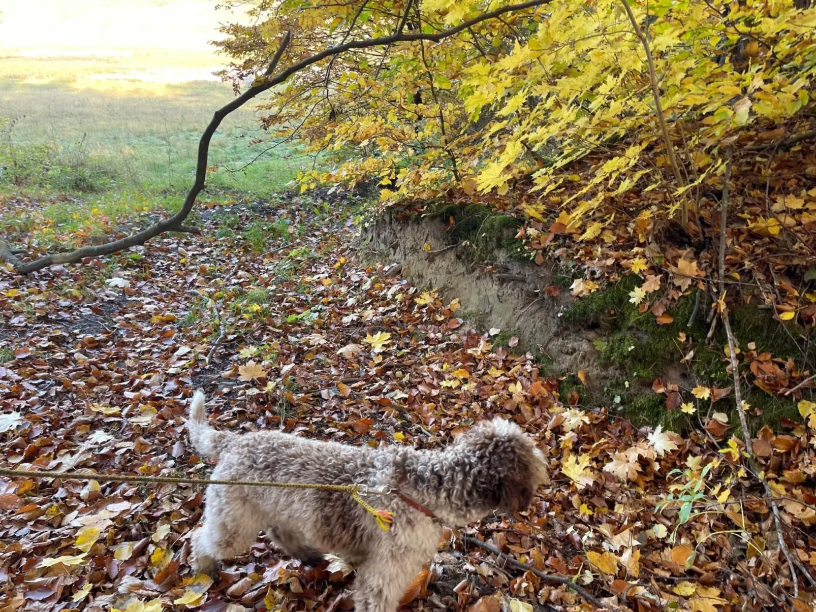 Vogelecke - abseits des Trubels und der Hektik-Draußen