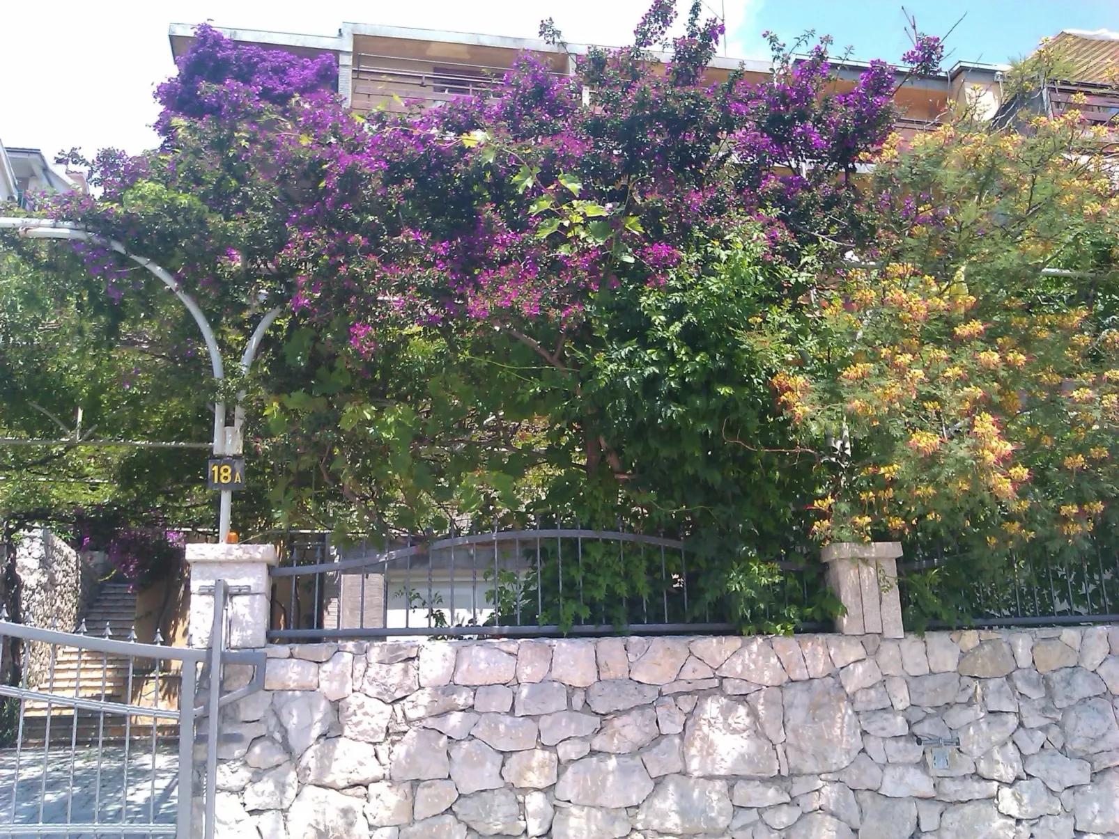 "Levant Ventus Makarska"-Outside