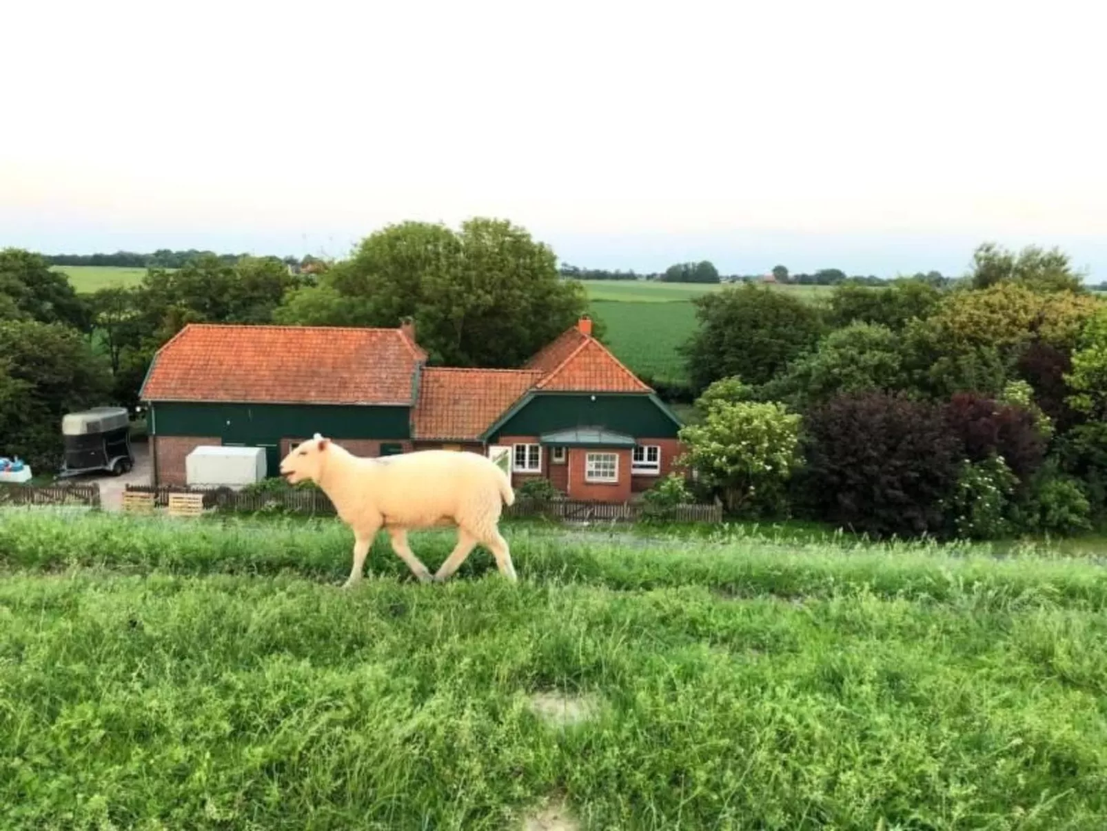 Deichhof Tossens-Draußen
