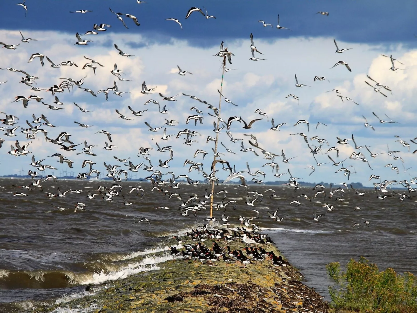 Marschenhuus-Draußen