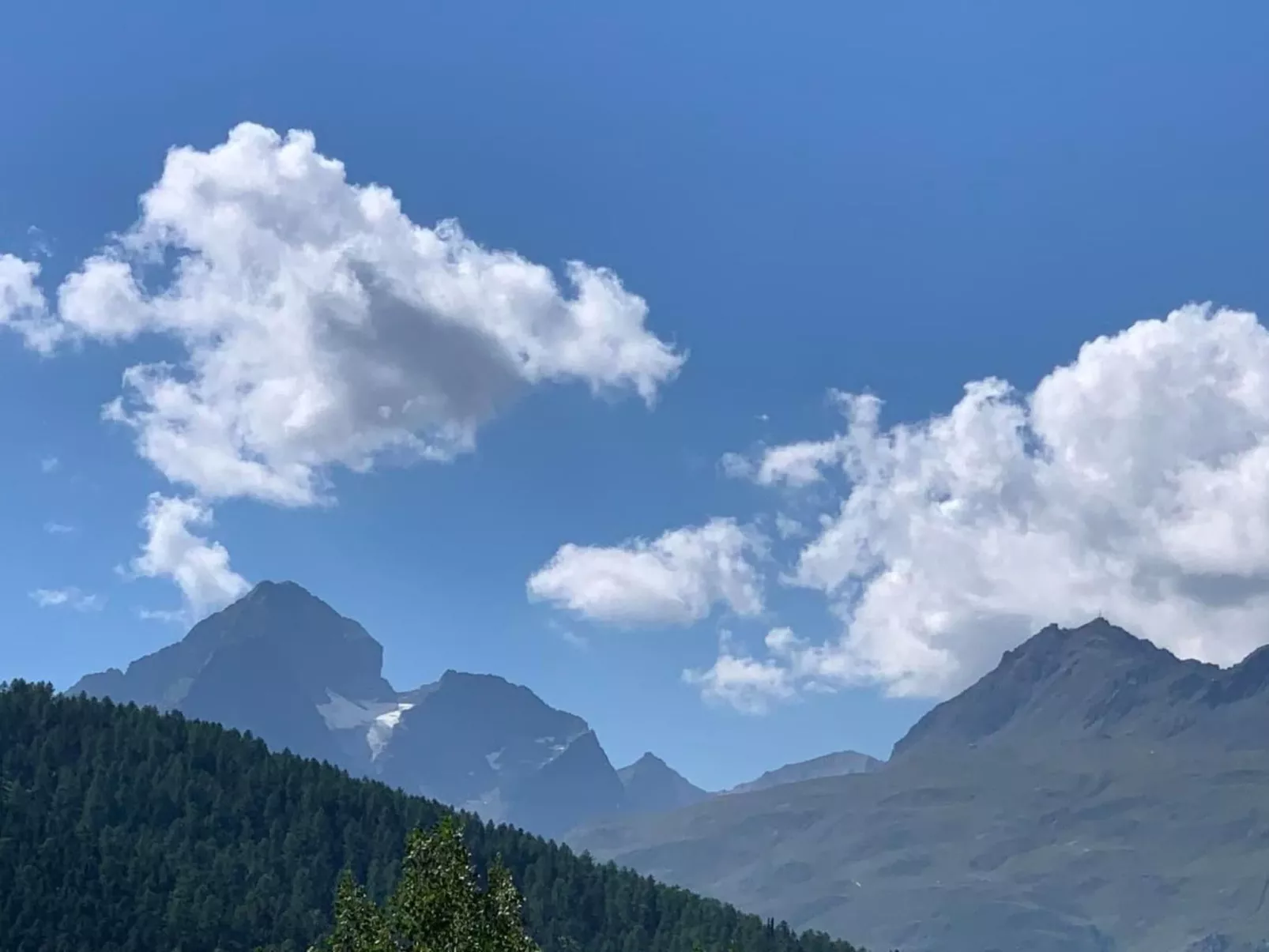 MFH Terr‘in tschêl-Image-tags.info