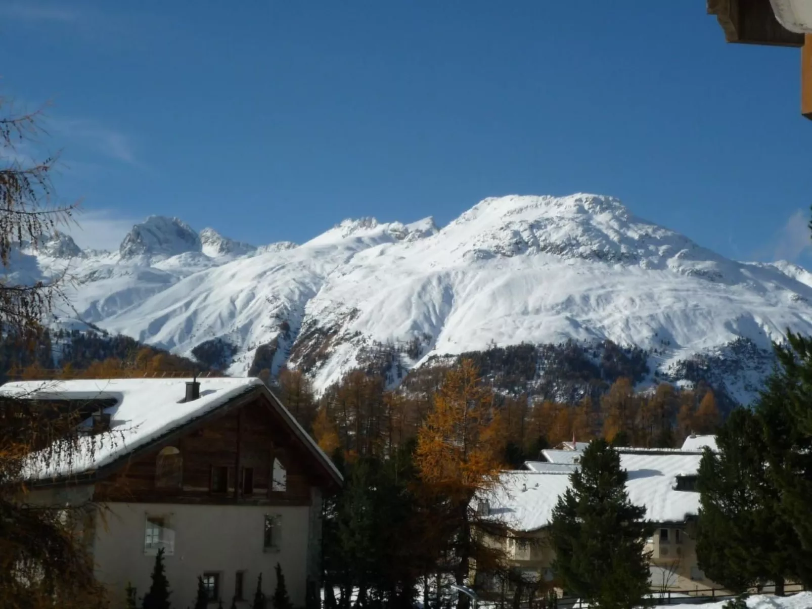 Chesa Azalea 3 klein-Image-tags.info