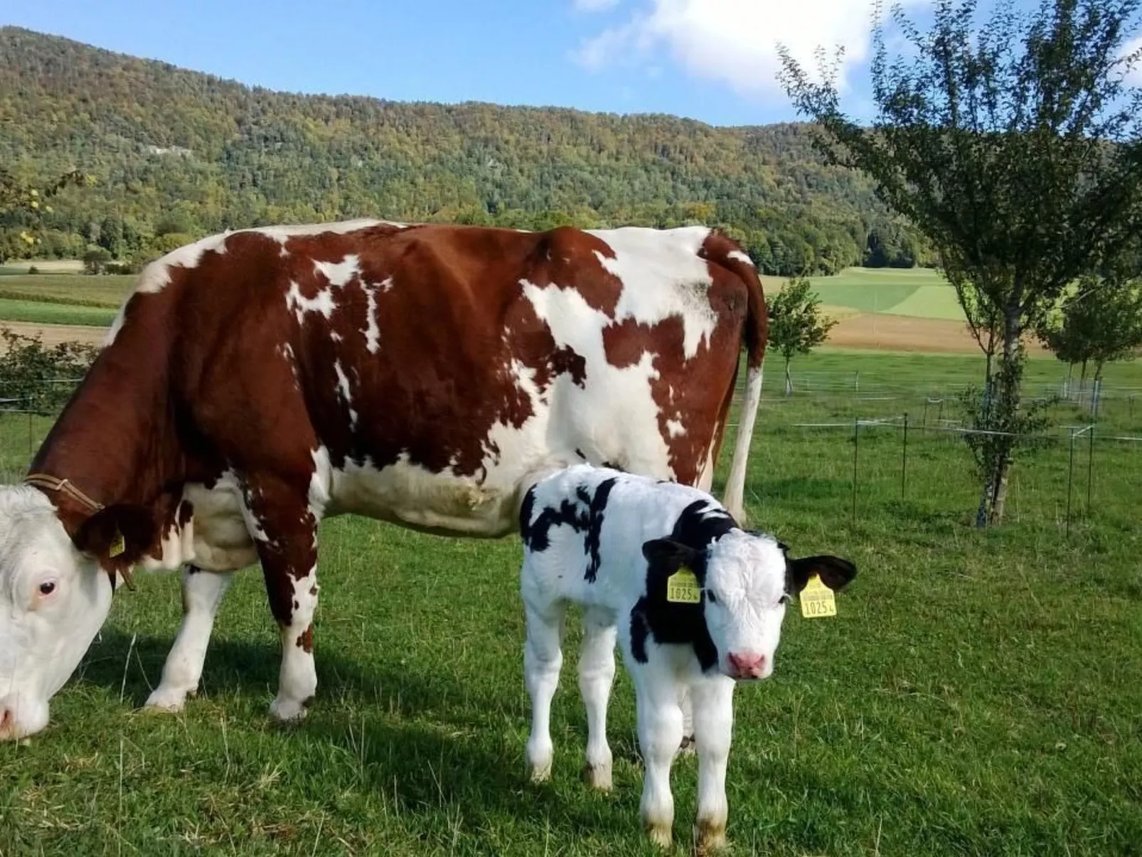 Wohnung Gîte rural de Courcelon-Outside