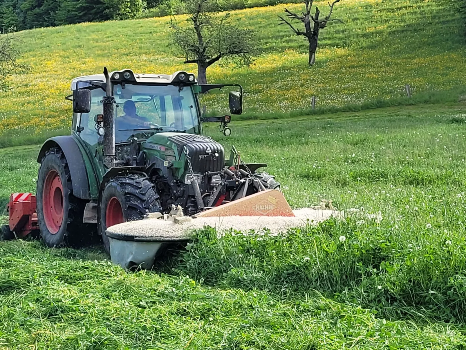 Chalet Staufenhof-Outside