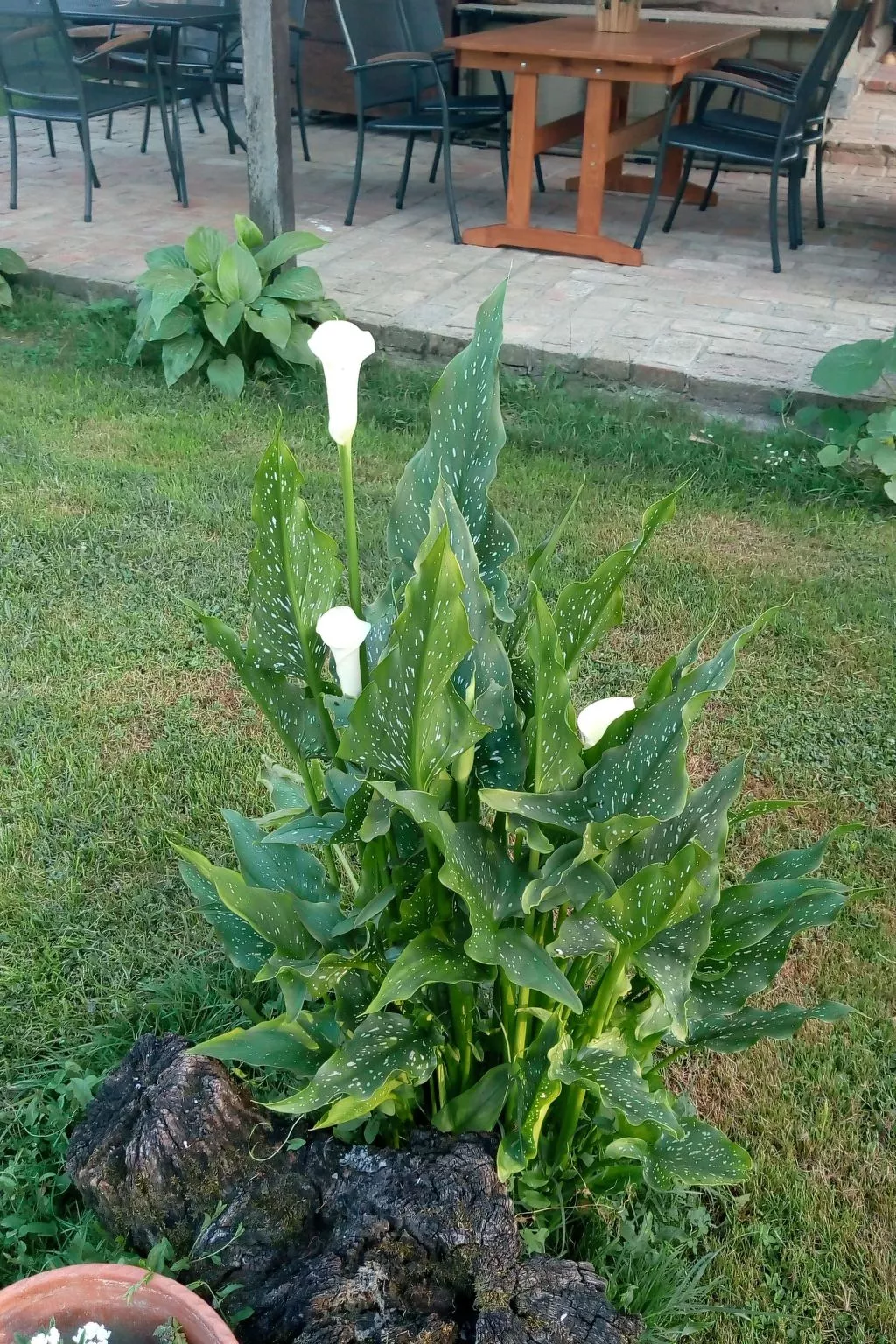 Ländlicher Tourismus-Draußen