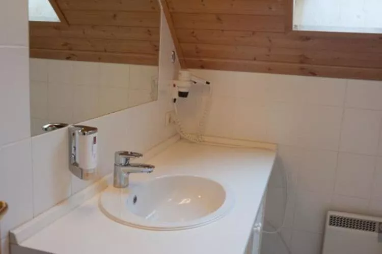 Ferienhaus in Hasselfelde - Haus 319 Auerhahn-Bathroom