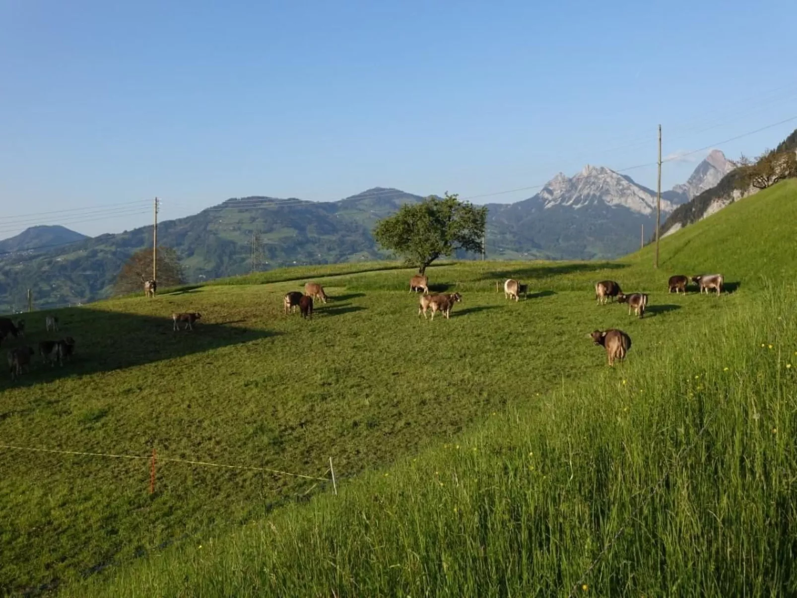 Biohof Langberg-Outside