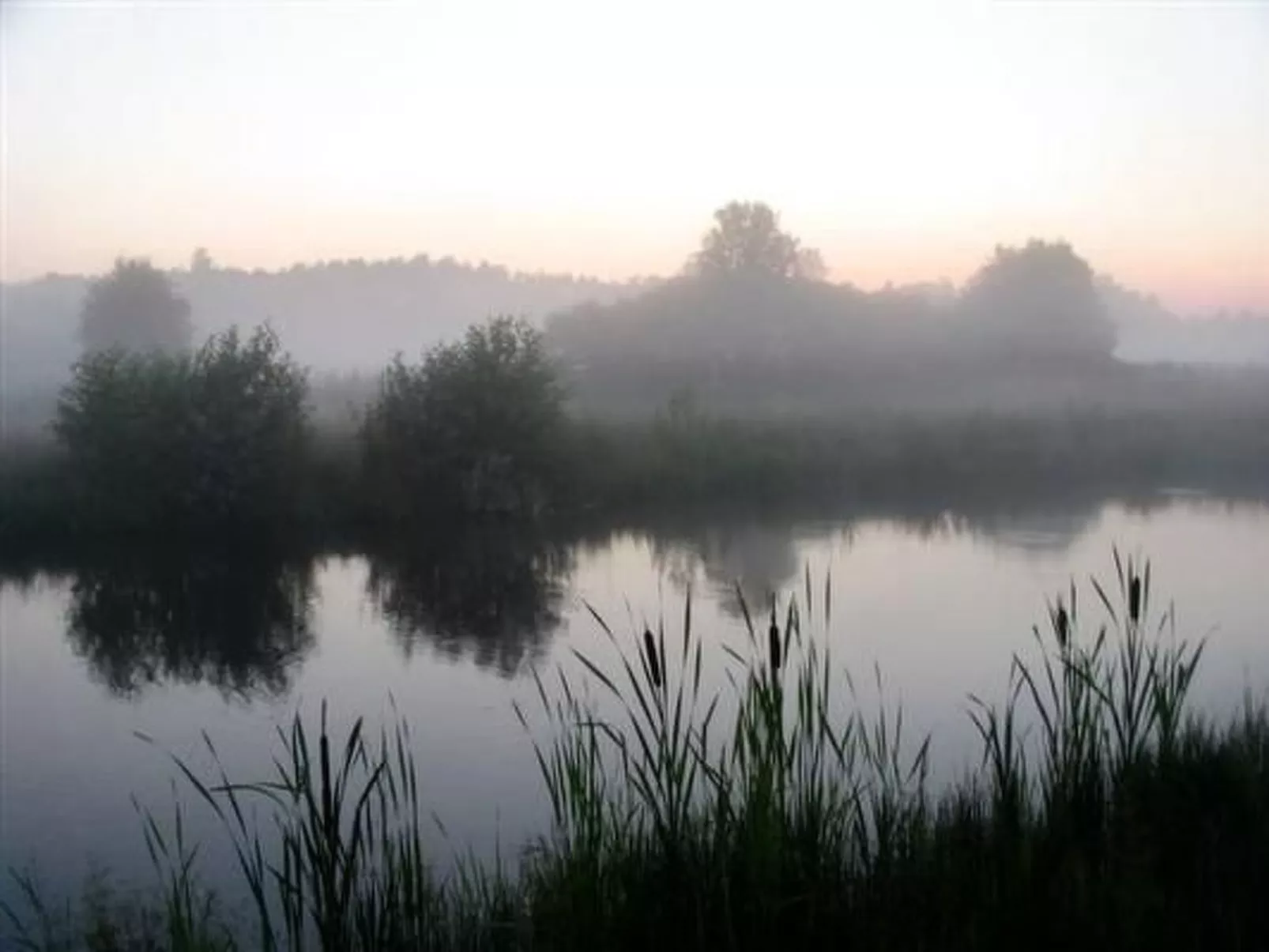 Für Naturliebhaber-Dehors